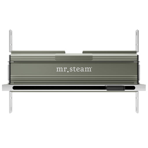 Mr. Steam Linear 27 in. Steam Head With AromaTray & Diverter - Sea & Stone Bath